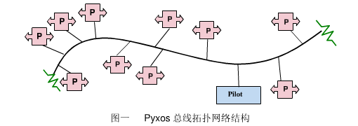 P-bus总线结构1